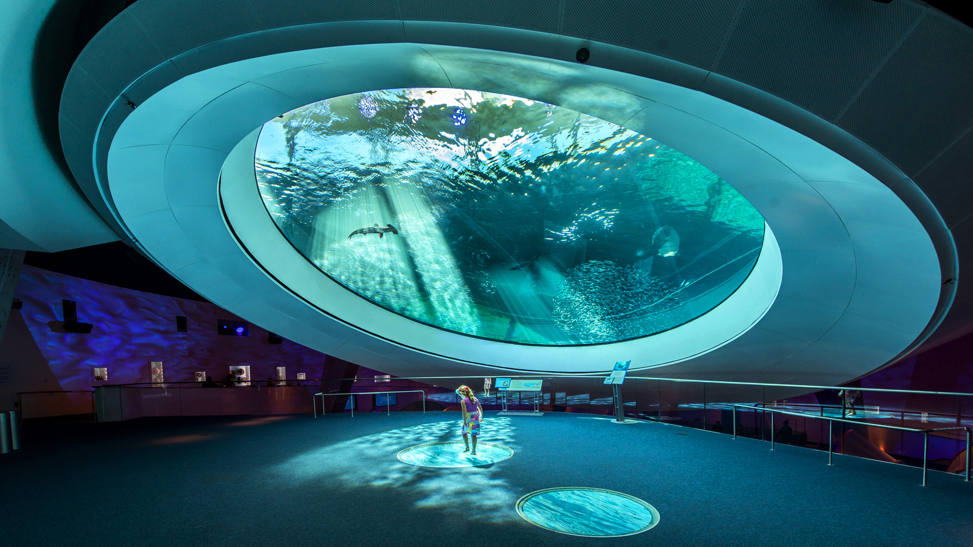 MIAMI Frost Science Museum Aquarium Image courtesy of Visit Florida