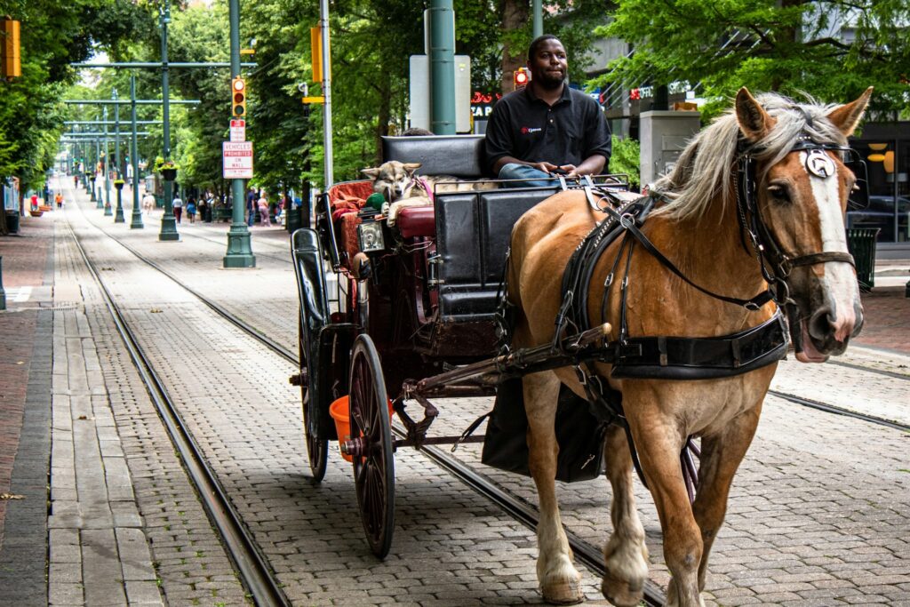 Memphis Tennessee Hores Carriage Image by joshua j cotten unsplash