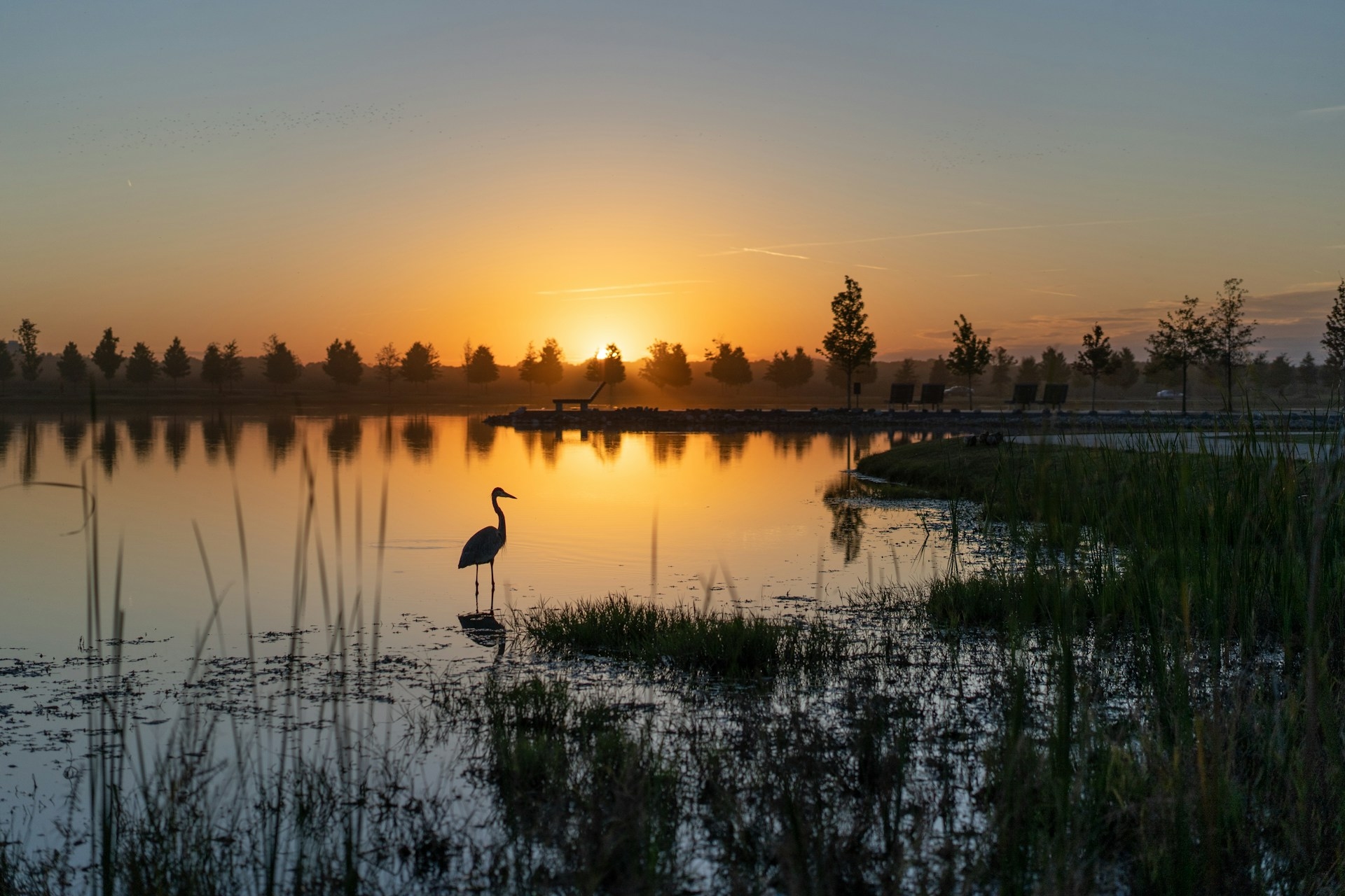 Memphis Tennessee Shelby Farms Austin rich unsplash