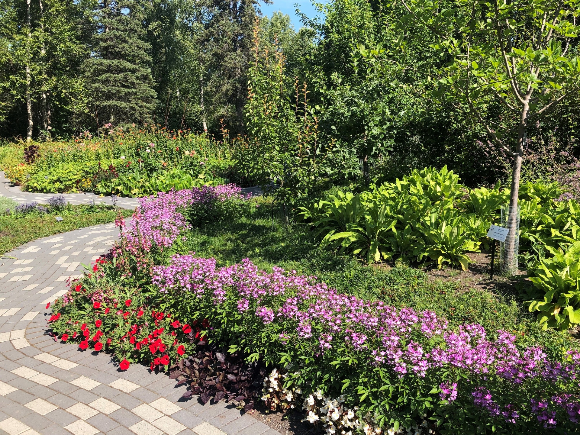 Alaska Botanical Garden Credit Lilly Kelly Visit Anchorage