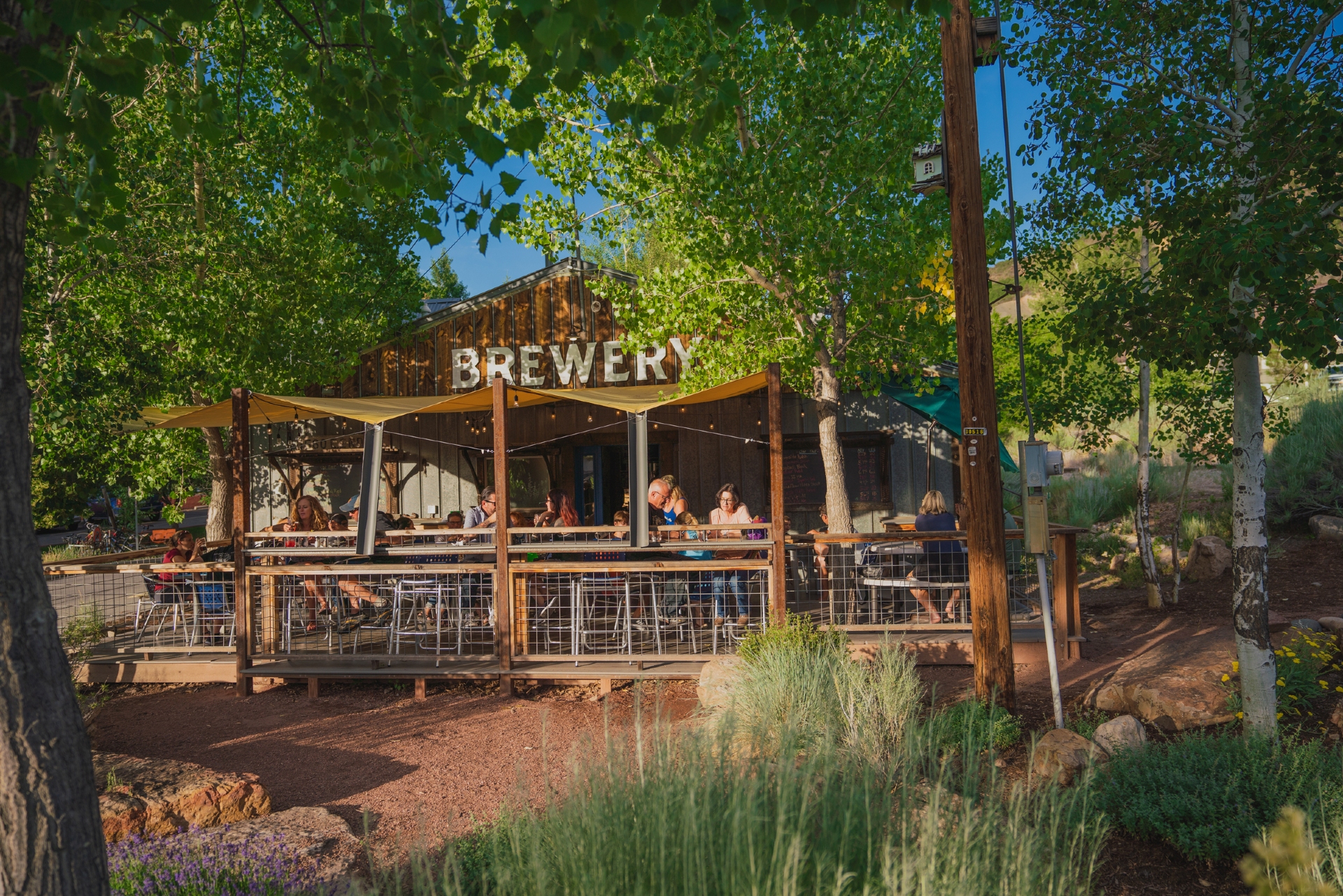 Animas Brewing Company Visit Durango