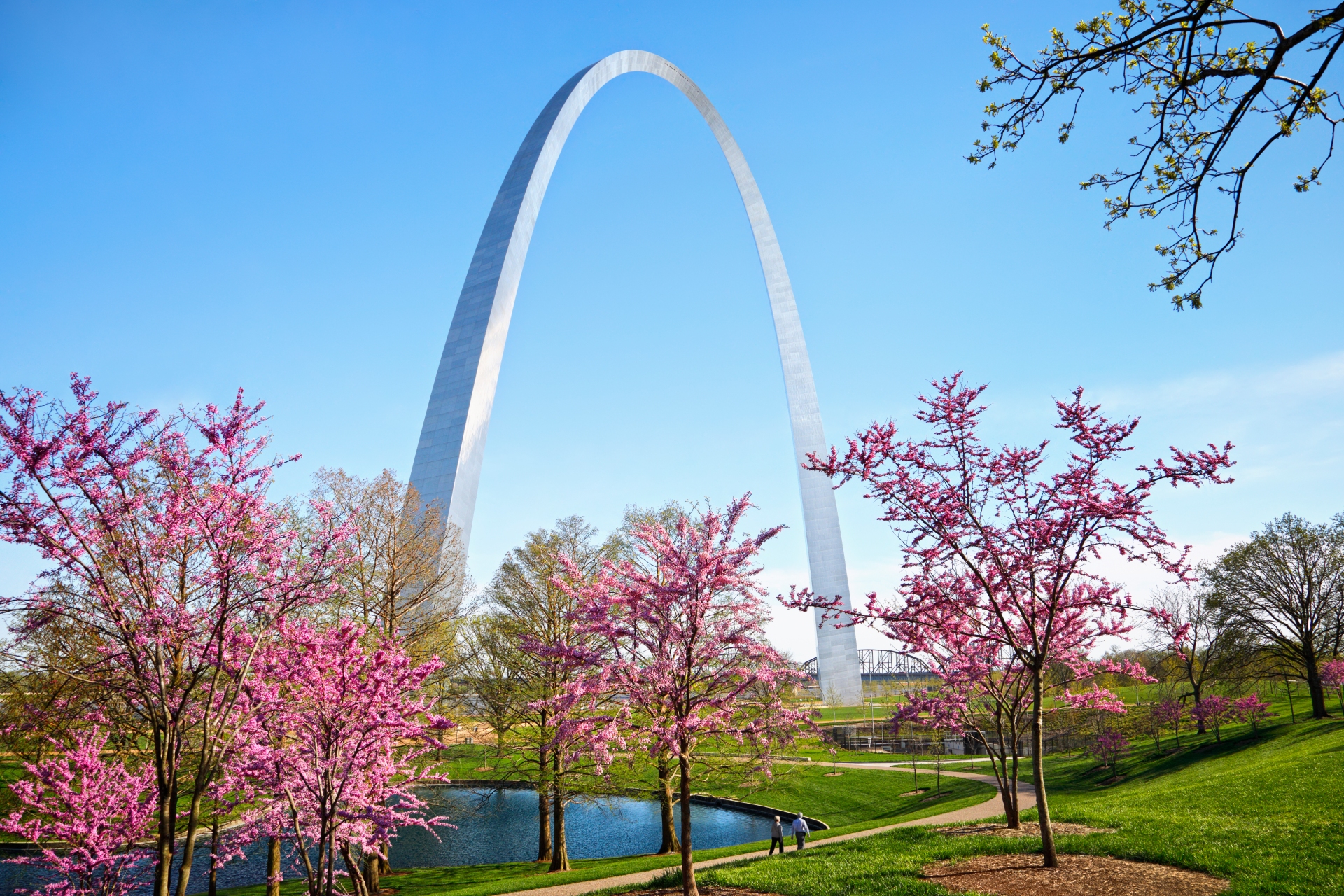Arch redbuds horizontal with people St Louis Mi Debbie Franke Image By Explore St Louis