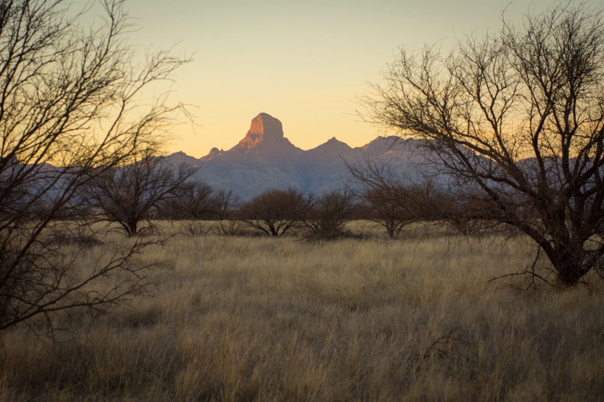 Baboquivari Peak