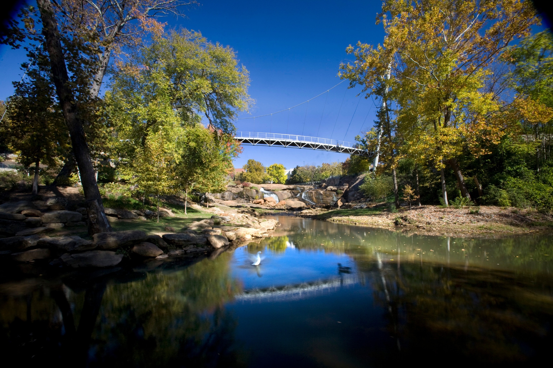 Baker Creek State Park Credit Discover South Carolina