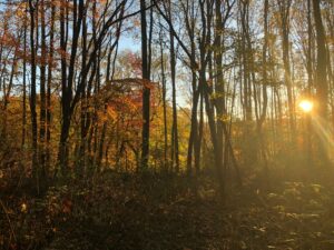 Beckley Photo by Joel Smith on Unsplash