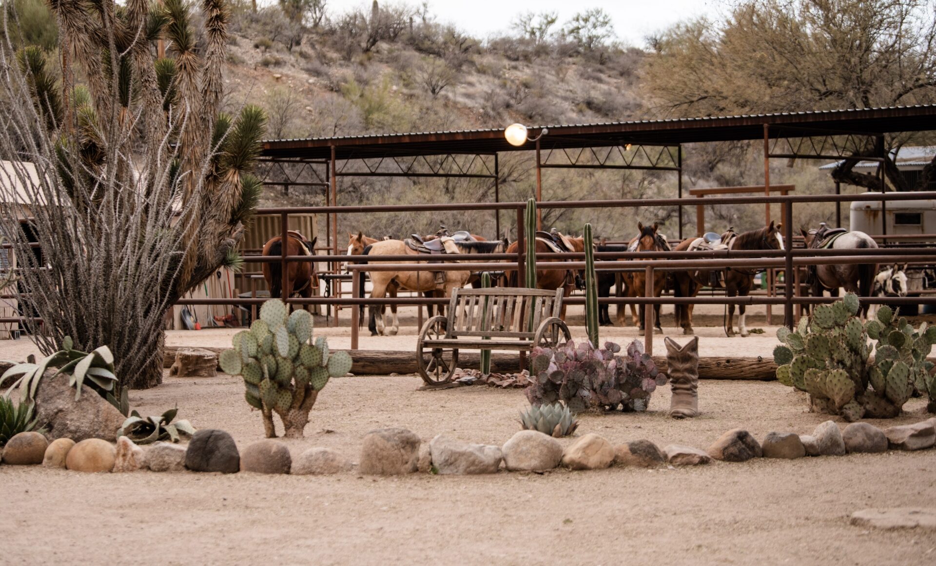 Corral 2 e1730763398790