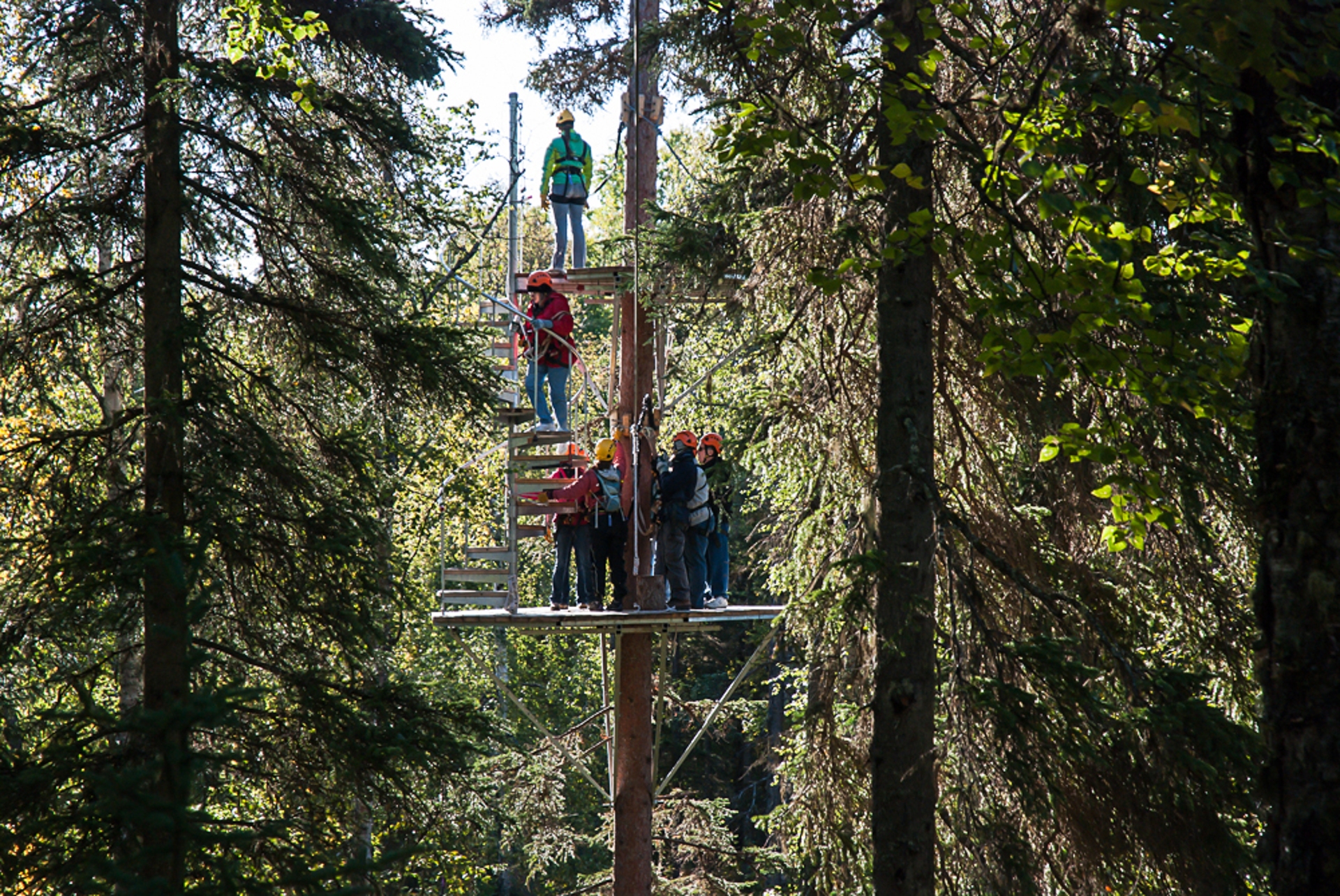 Denali Zip Line Tours Credit JodyO.Photos Visit Anchorage