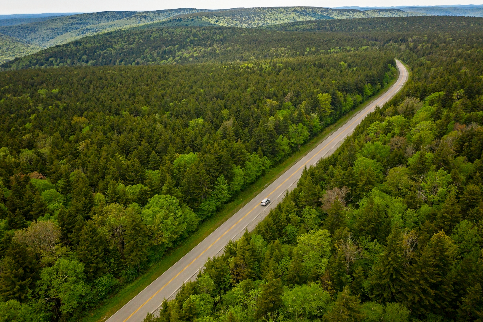 Highland Scenic Highway Credit WV Tourism
