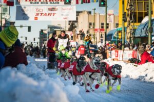 Iditarod Start 2 Credit JodyO.Photos Visit Anchorage
