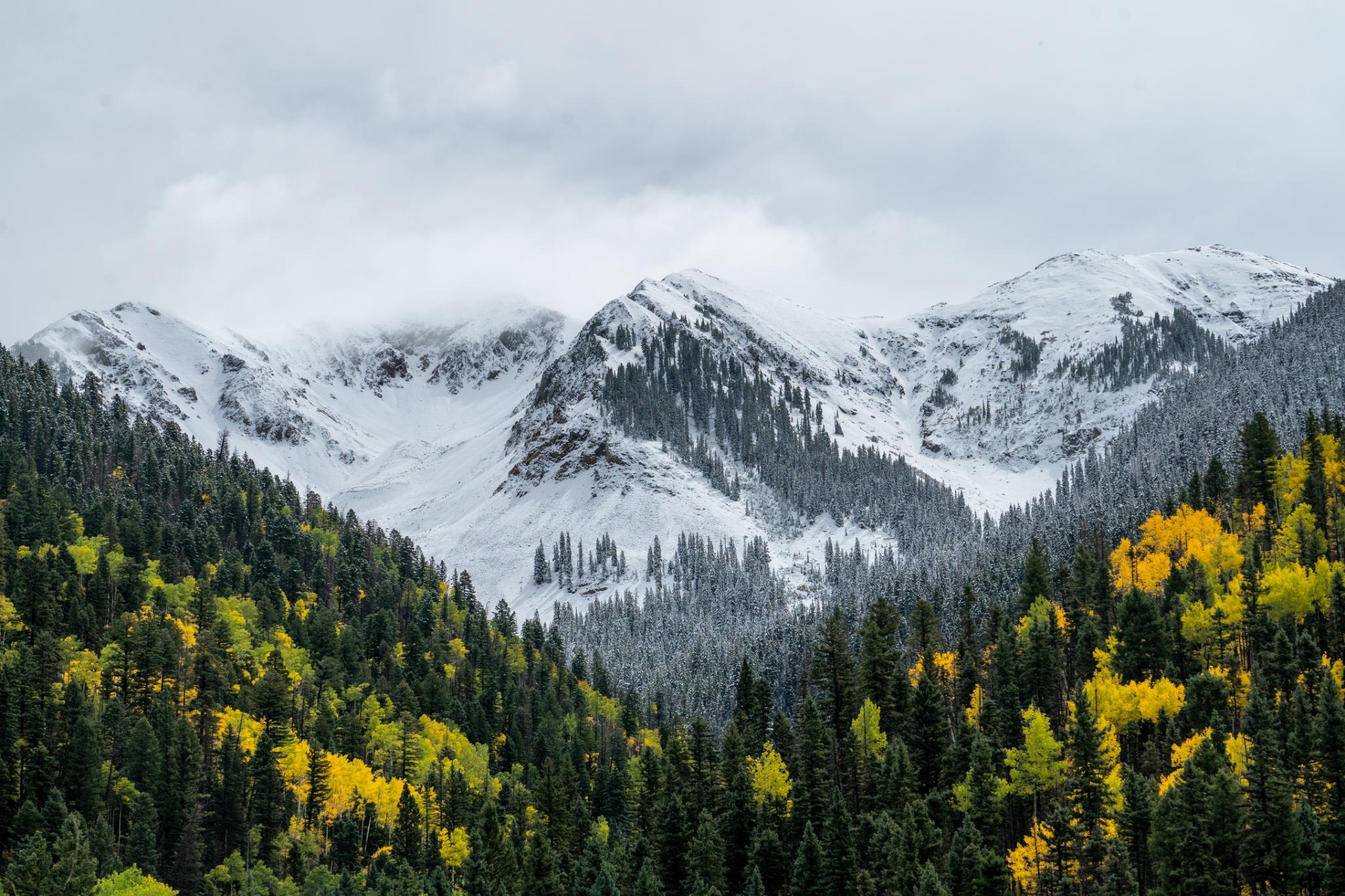 La Plata Canyon and Mountains Credit Nick Kogas Visit Durango