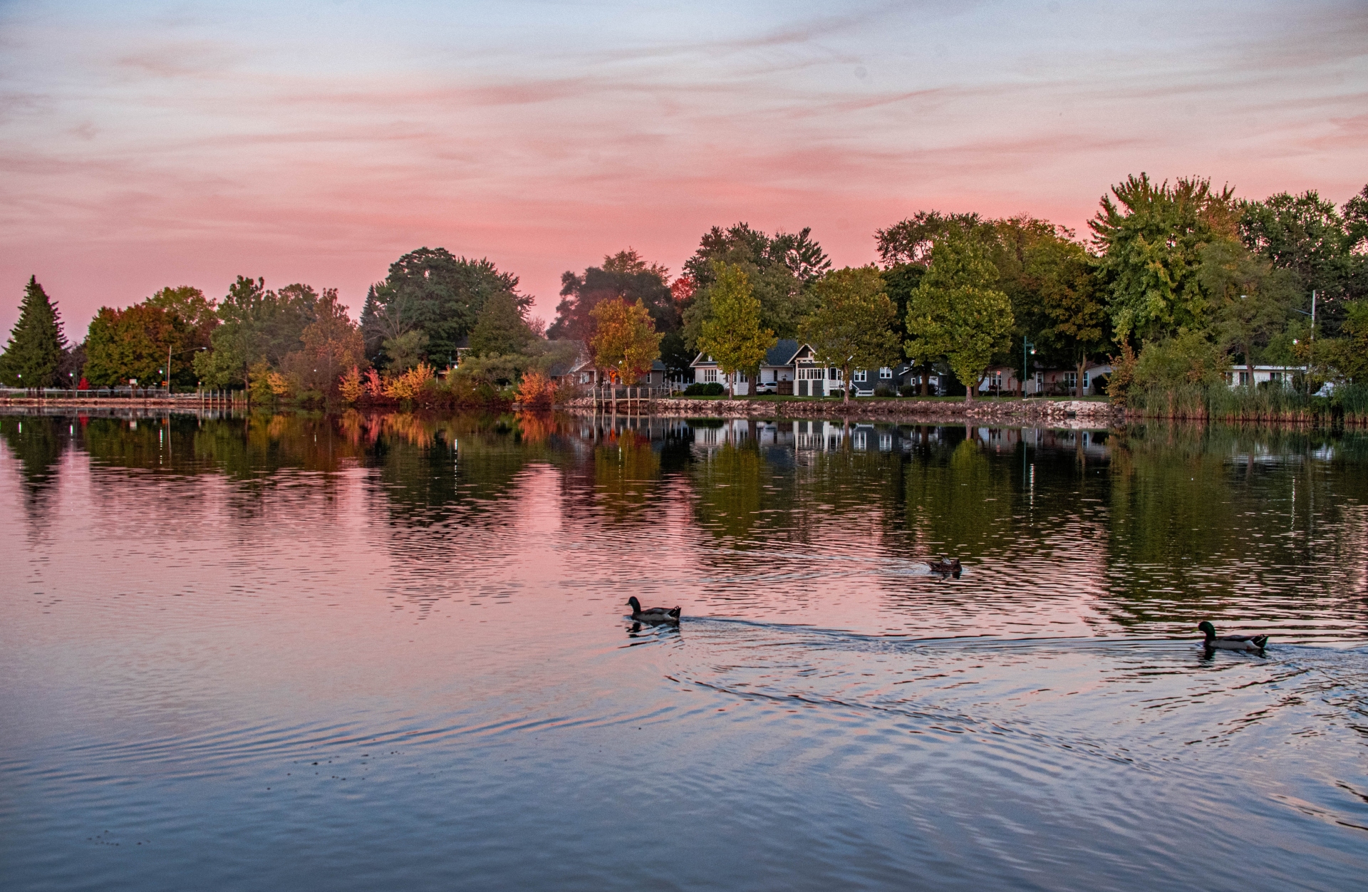 Michigan1 Pine River in Alma unsplash