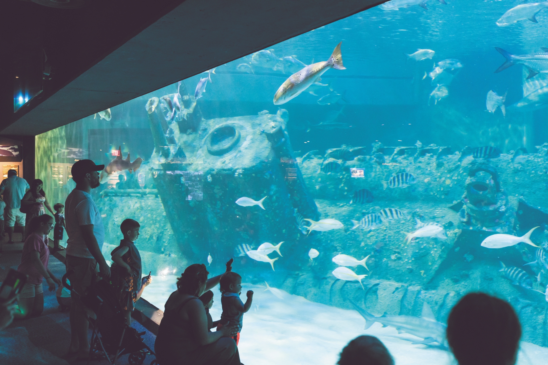 NC Aquarium Pine Knoll Shores Credit VisitNC