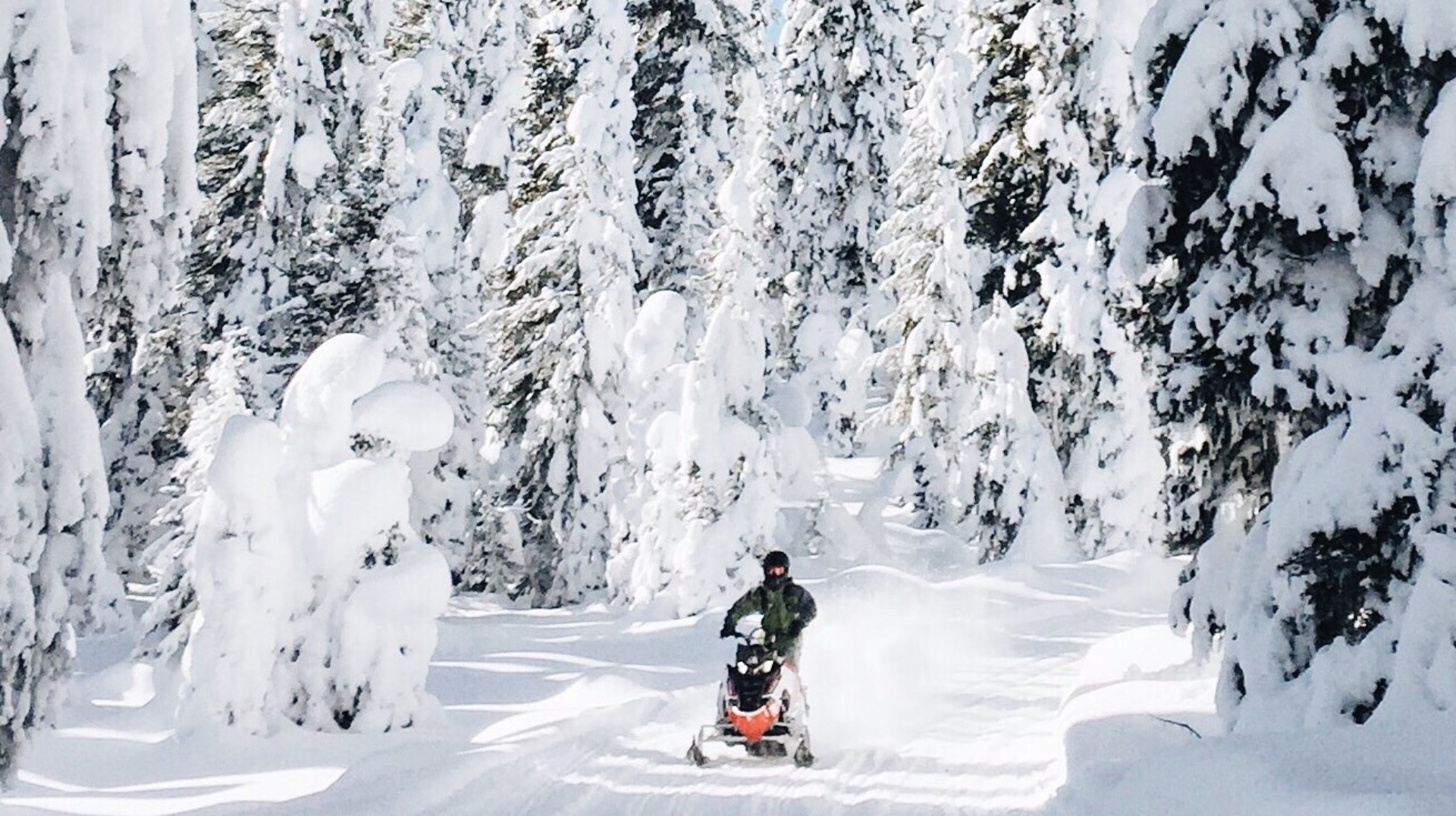 Snowmobiling in La Plata Canyon During Winter Credit Visit Durango