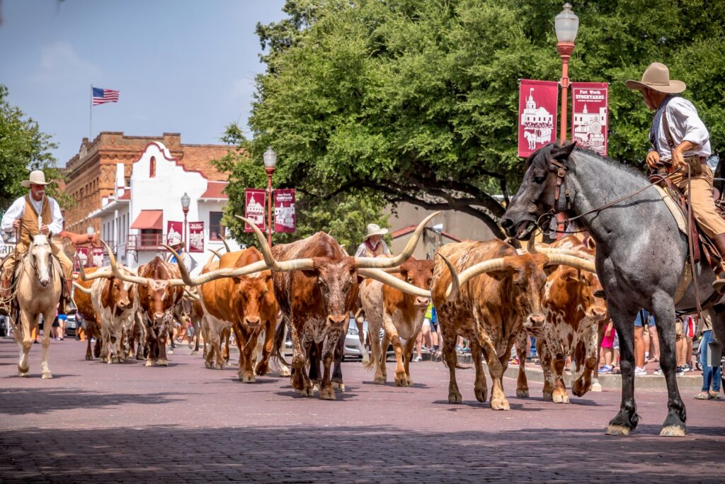 Fort Worth Stockyards 1