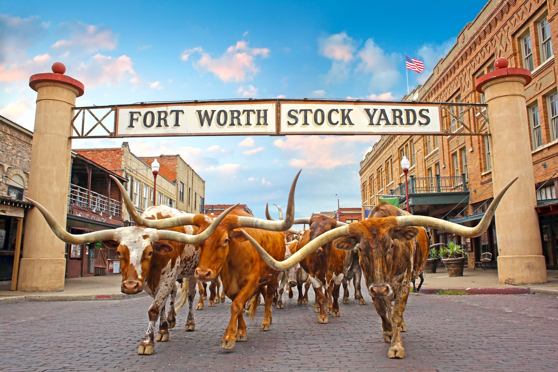 Herd Fort Worth Stock Yards Sign Credit Visit Fort Worth
