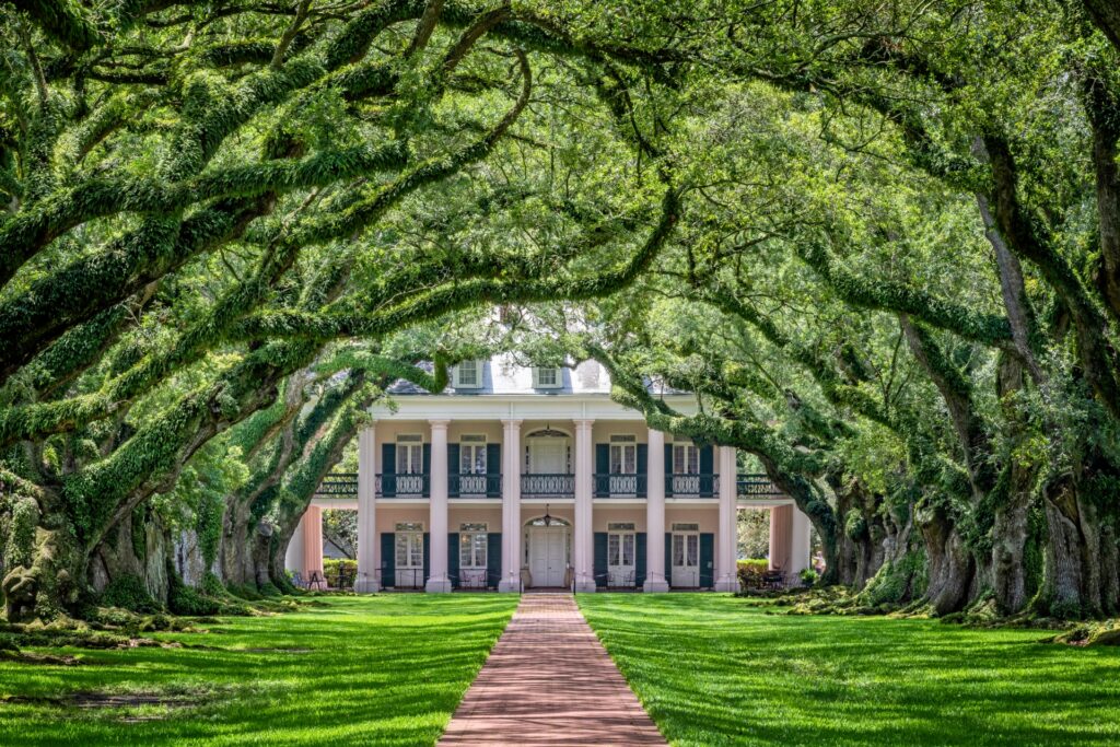 Oak Alley Credit Explore Louisiana