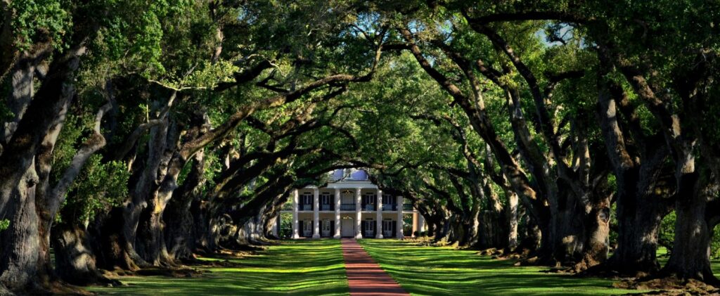 Oak Plantation Louisana Image by ron dauphin unsplash