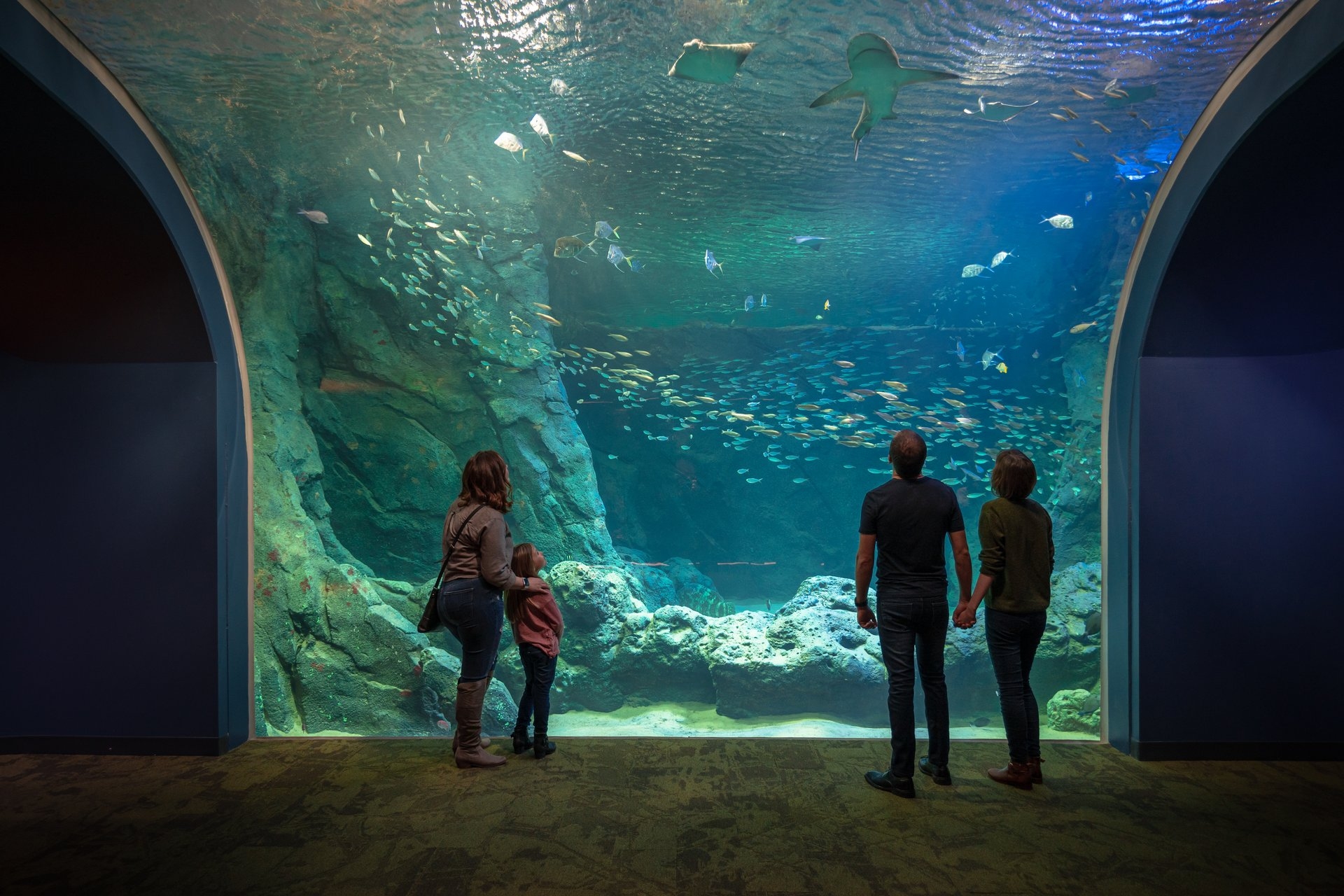 St Louis Aquarium at Union Station MI Image By VisitMo.com