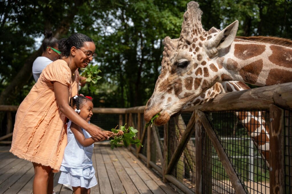 Memphis Zoo Photo Credit Julian Harper Memphis Tourism