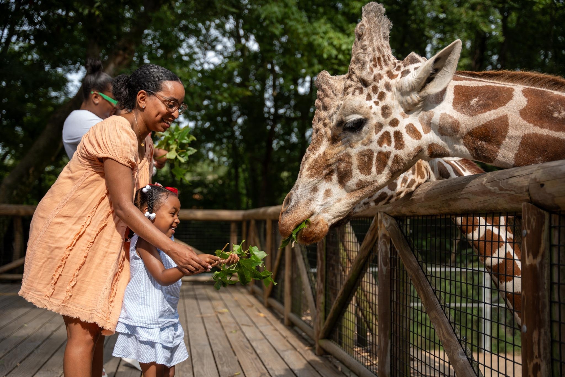 Memphis Zoo Photo Credit Julian Harper Memphis Tourism
