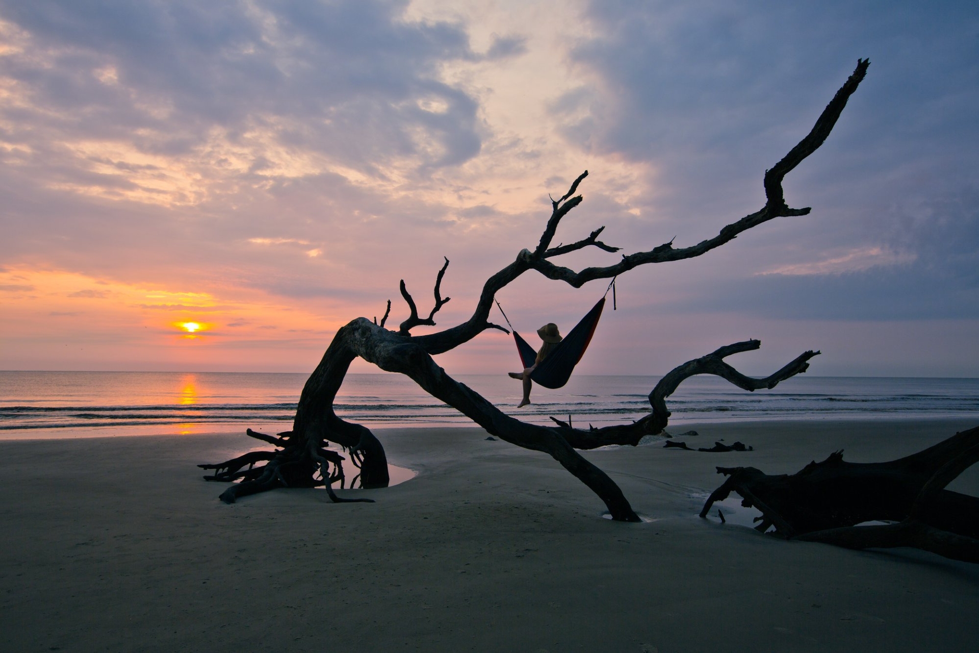 Coast Jekyll Island Driftwood Beach GA Image by Explore Georgia Tourism