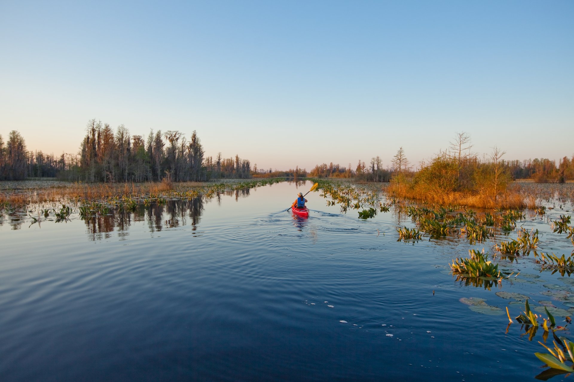 Okefenokee National Wildlife State Park kayak South Georgia Image By Expore Georgia Tourism