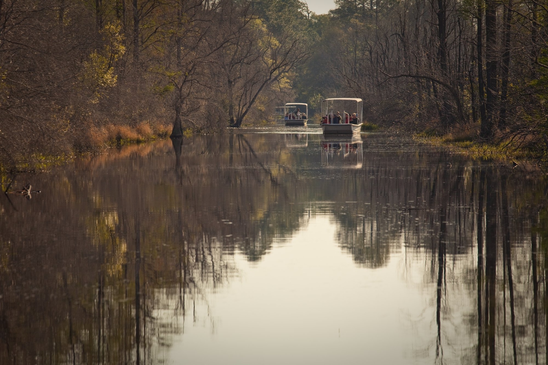Okefenokee Swamp Park Kayak South Georgia Image By Expore Georgia Tourism