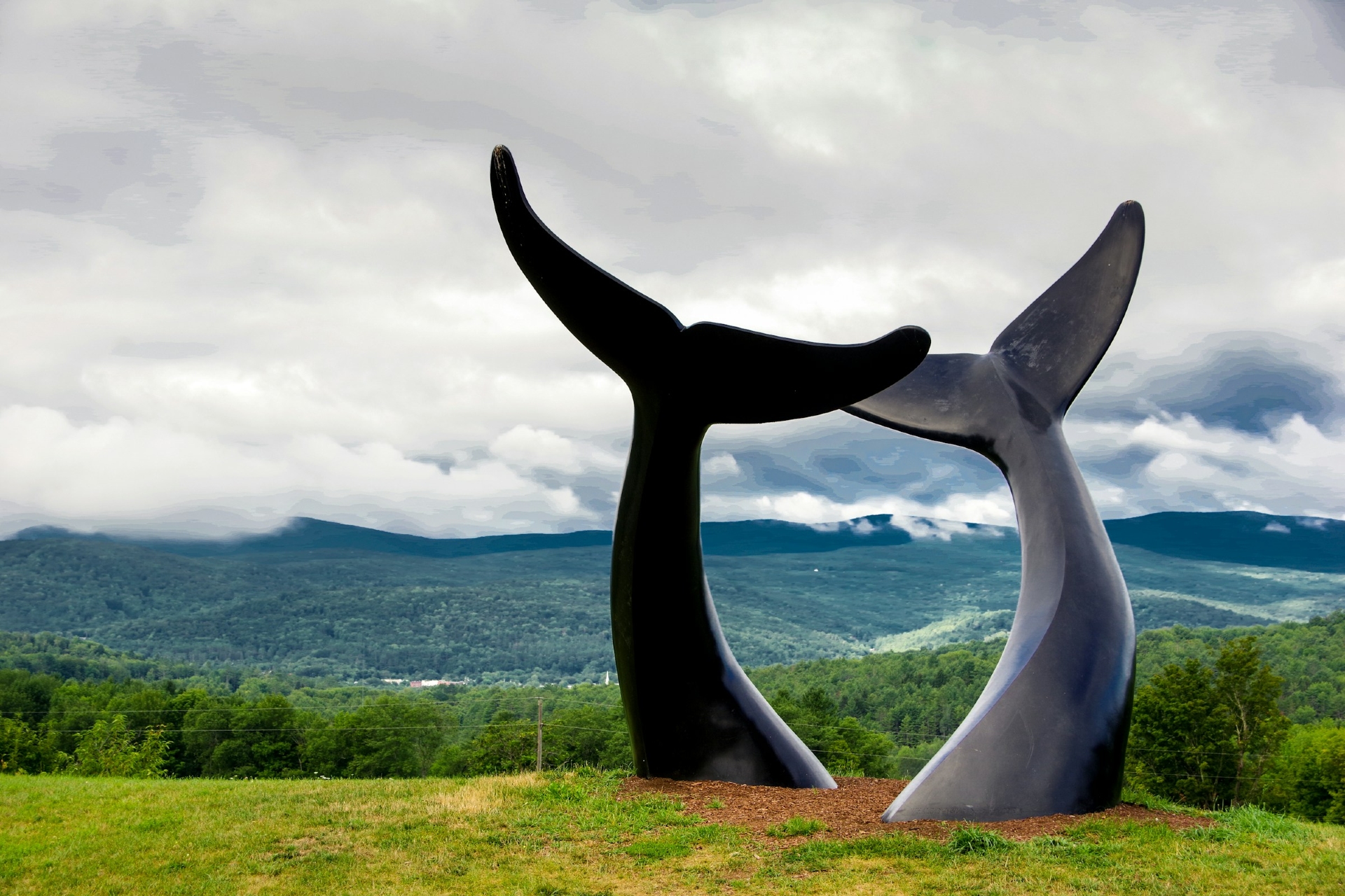 Whales Tails Sculture in Randolph Vermont Image by stephen mease unsplash
