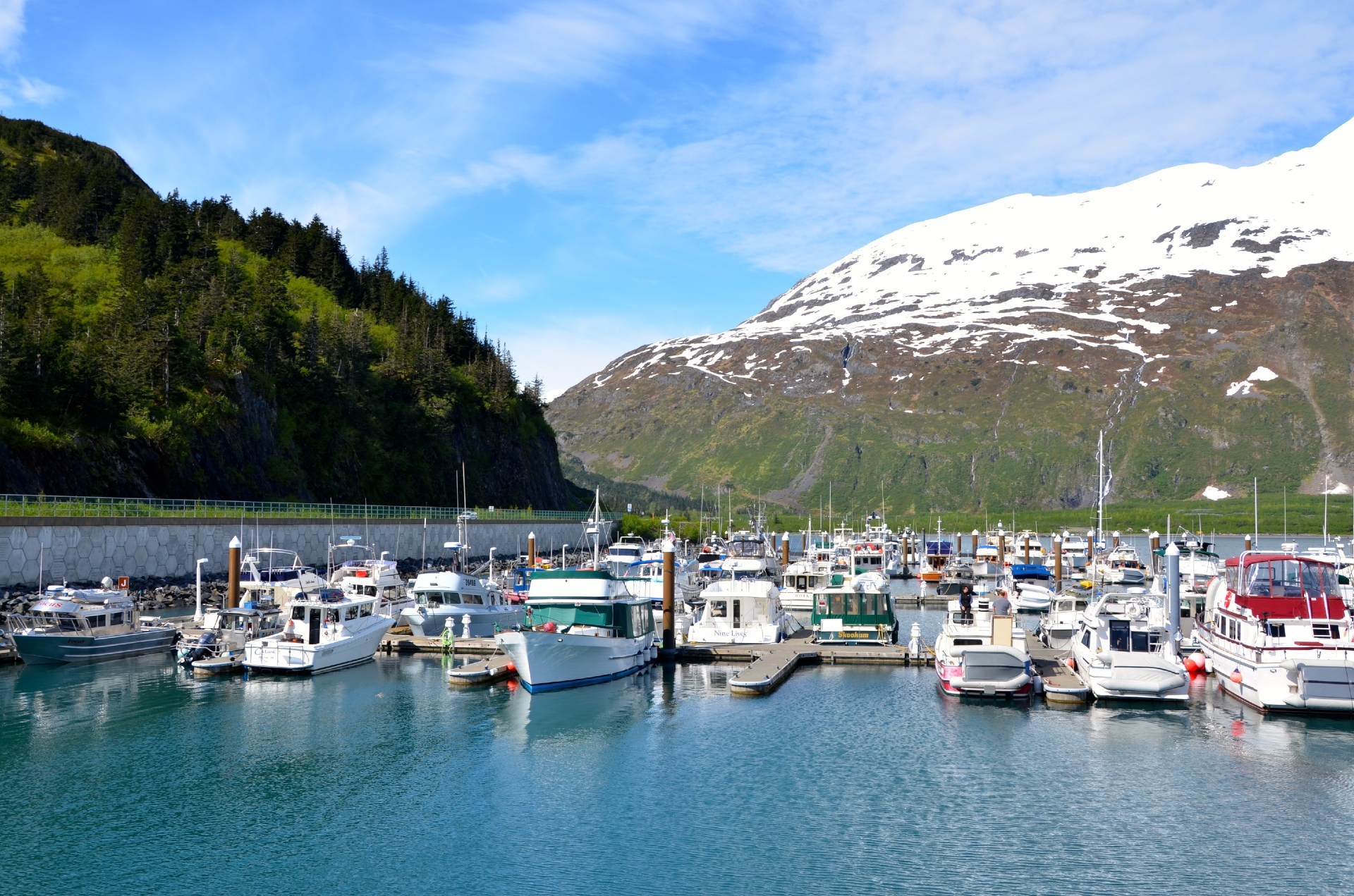Boats docked in Whittier Boat Harbor