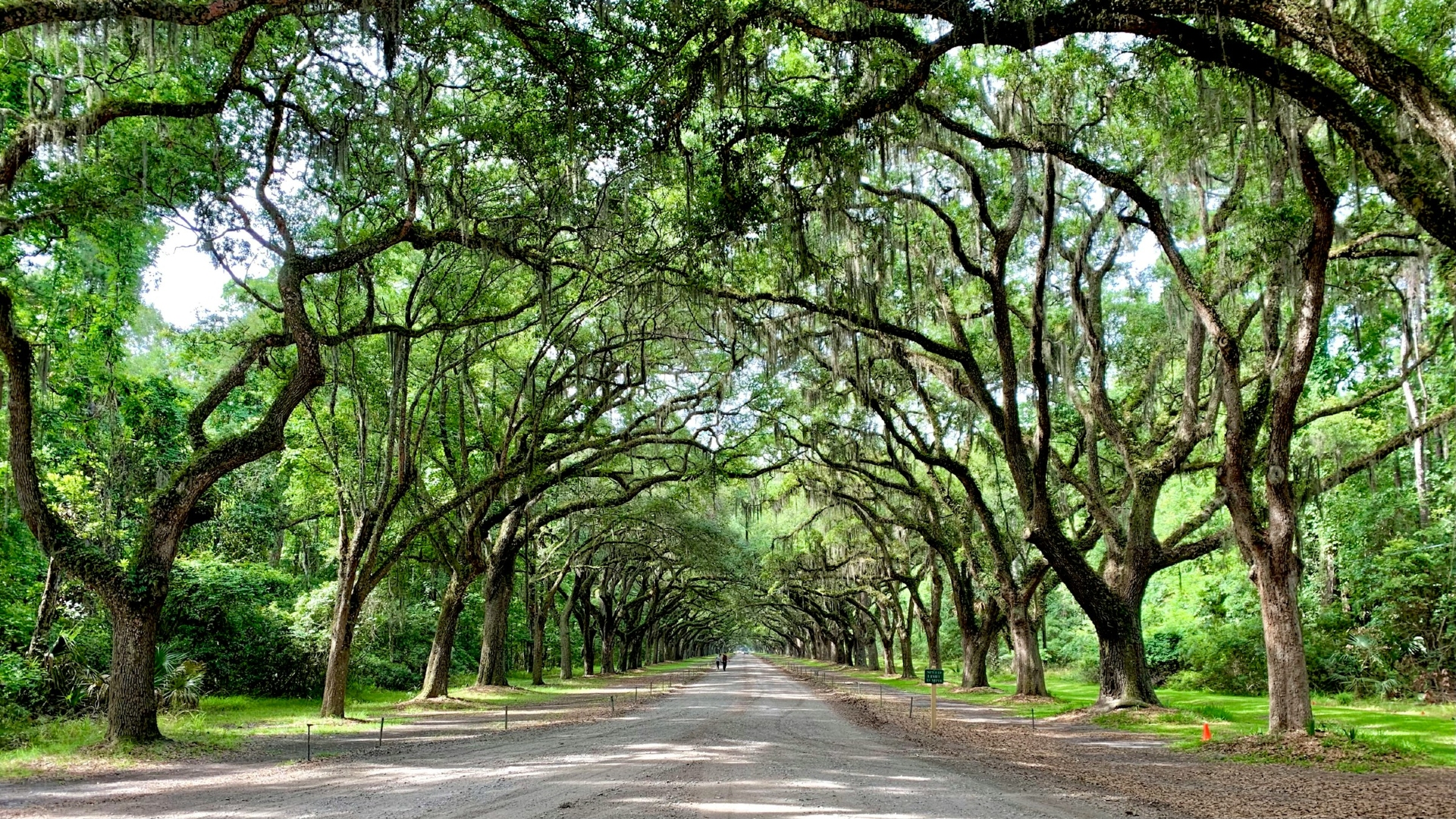 Wormsloe Historic Site Savannah Georgia Image By jacob mathers unsplash