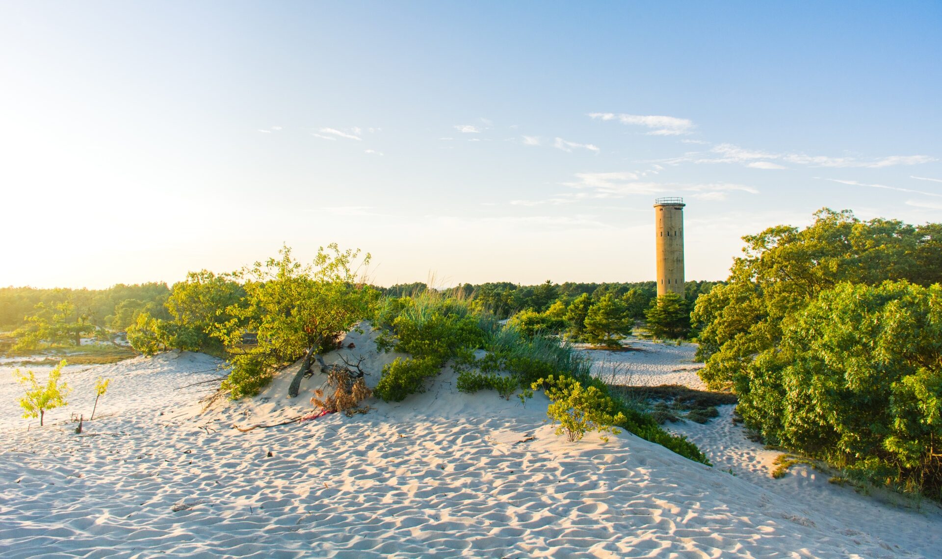 Cape Henlopen State Park in Lewes Credit Delaware State Parks and Visit Delaware e1743377350833