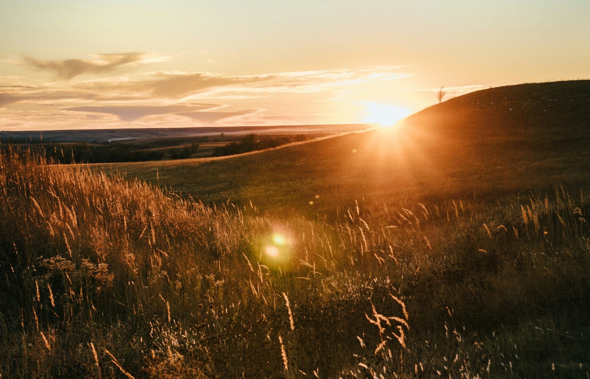 Central Kansas Plains Image By matt phillips unsplash e1743047932760
