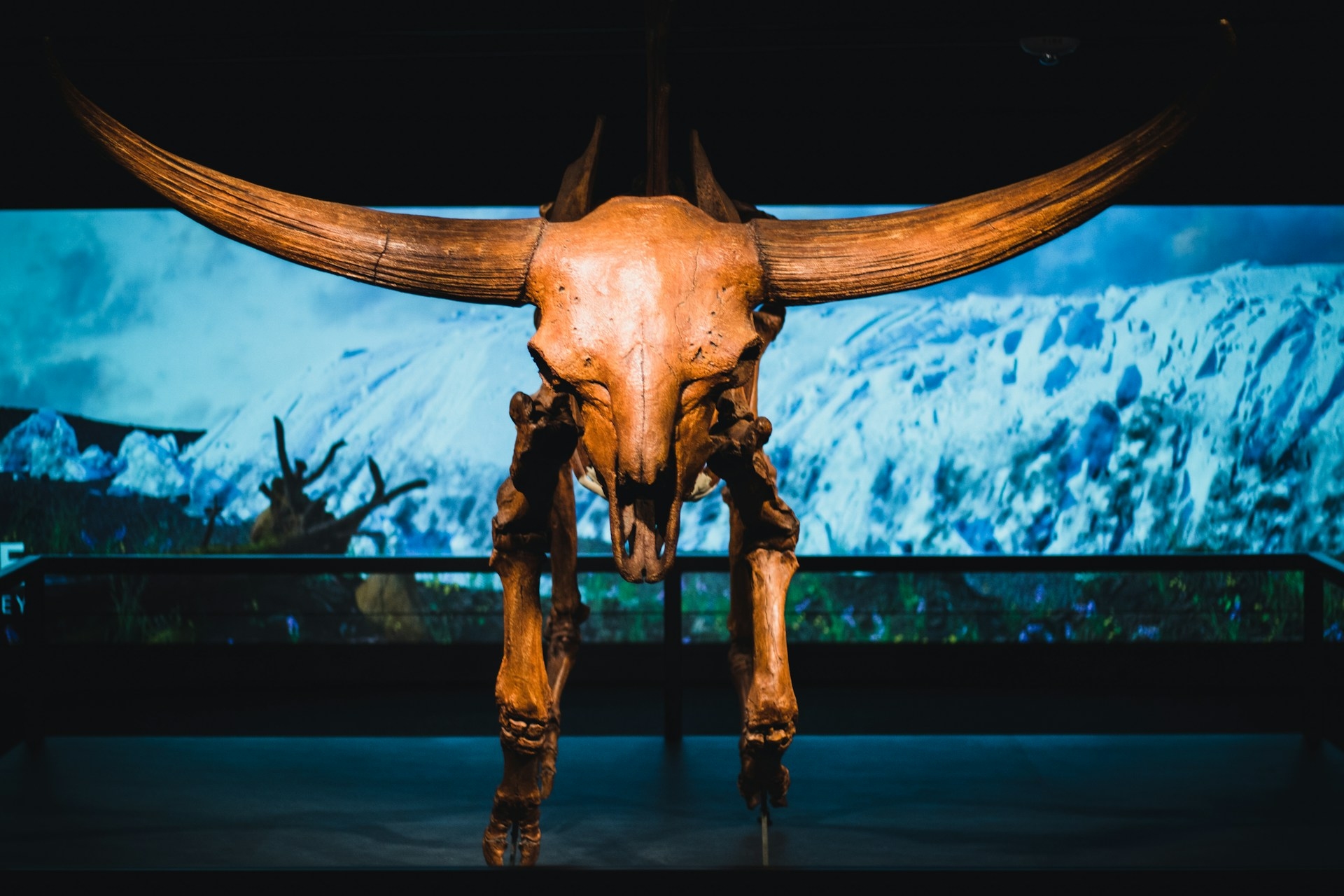 Cincinnati Museum Centre Image By sean foster unsplash
