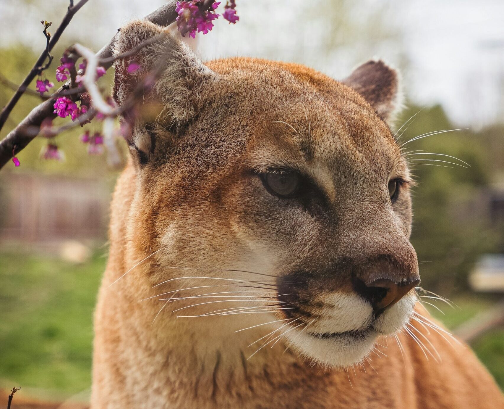 Columbus Zoo Aquarium OH Image By mason miller unsplash scaled e1742087785869