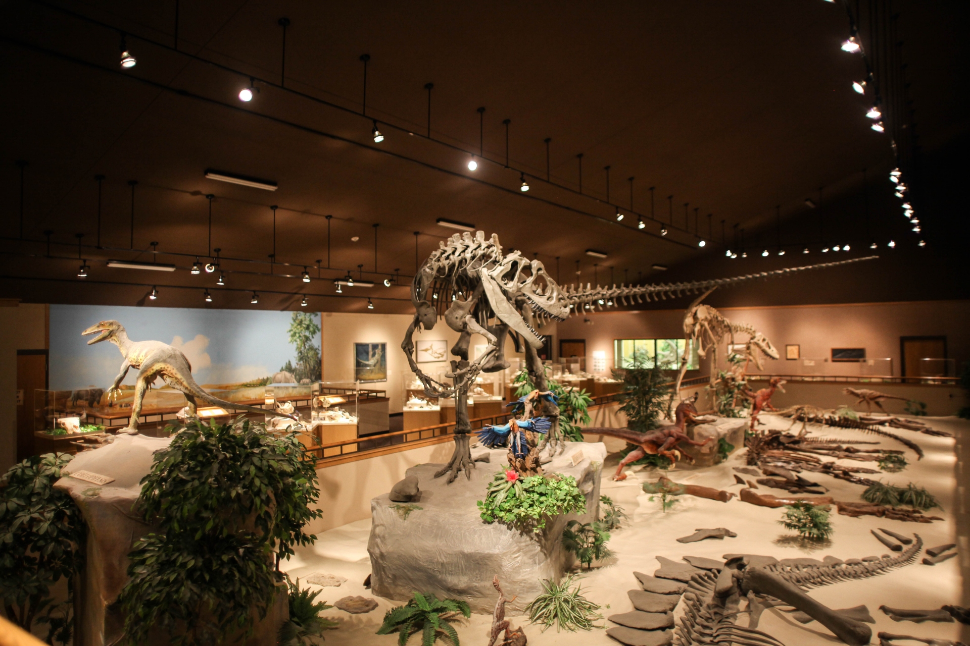 Dickinson Dinosaur Museum Center Display Image By North Dakota Be Legendary 223