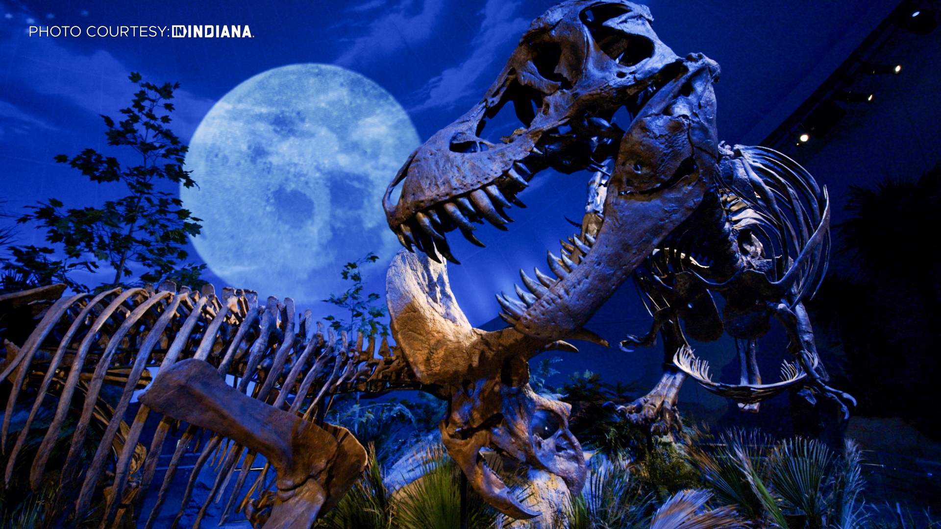 INDY CHILDREN MUSEUM IN INDIANA 2