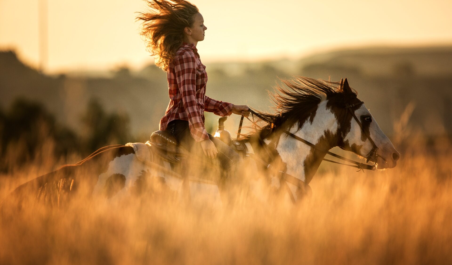 Image By North Horse Riding Image by Dakota Be Legendary 6U6C9192 e1741001381668