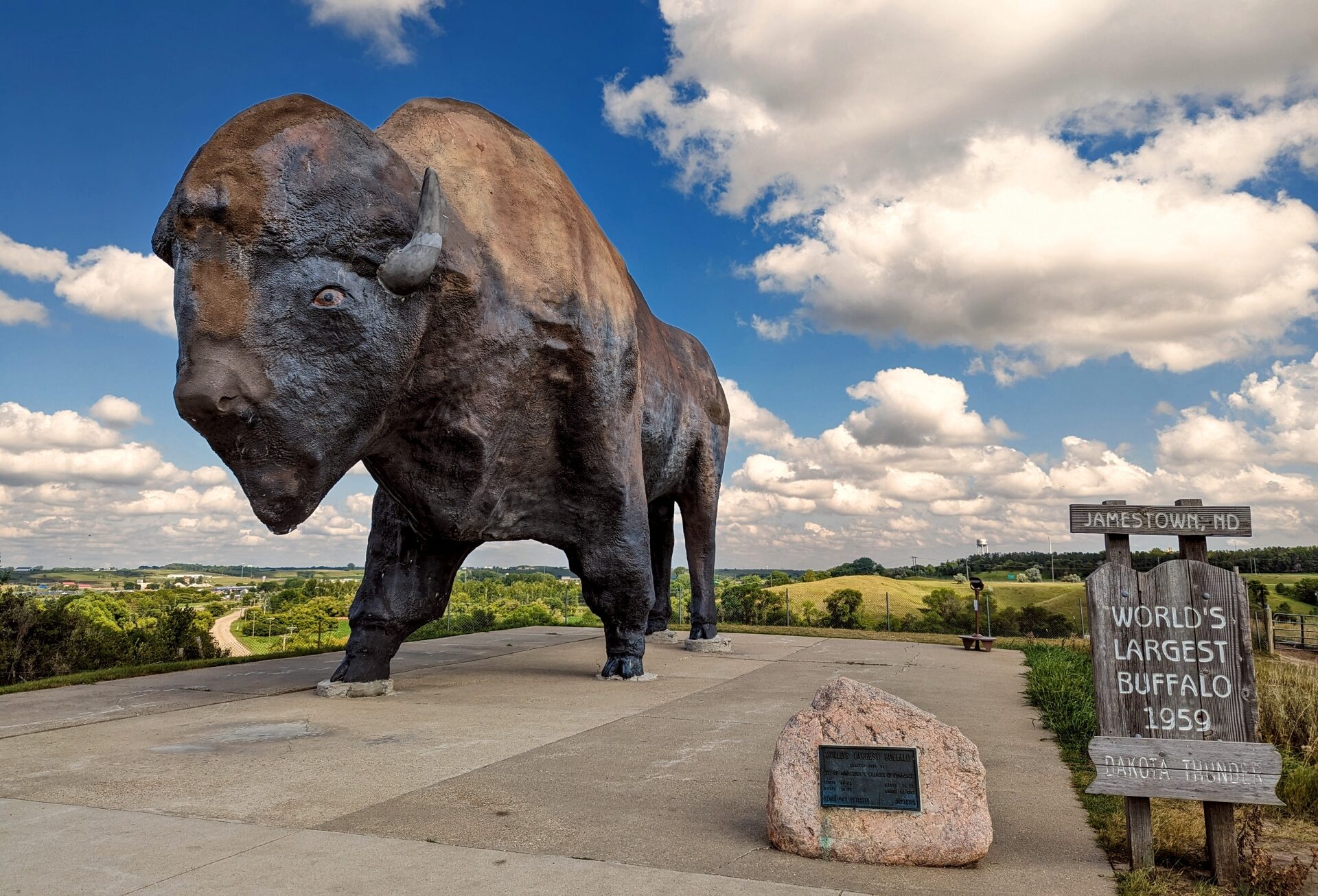 Largest Buffalo in the World ND Image By North Dakota Be Legendary e1740985192584