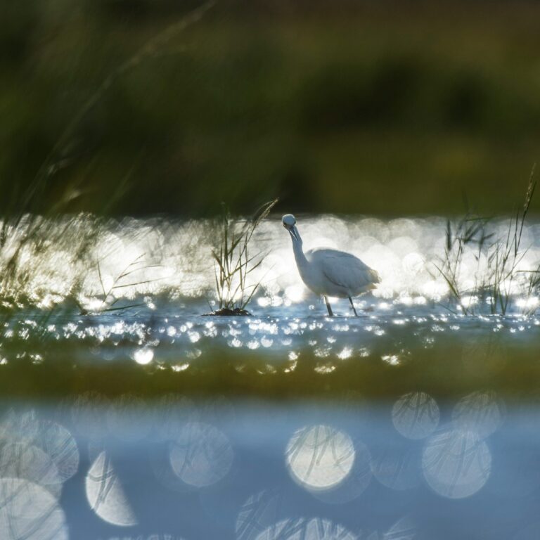 Milford Delaware Image By ray hennessy unsplash e1743373300709