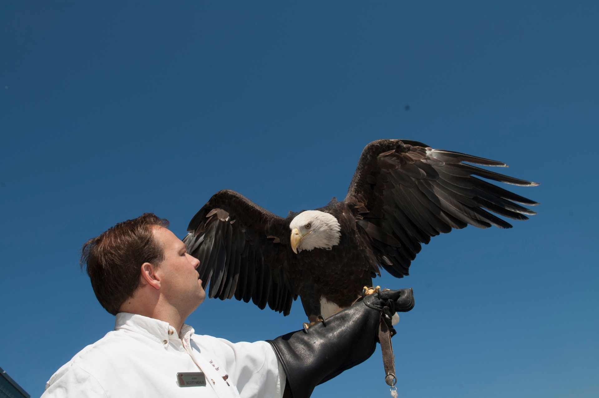 Minnesota National Eagle Center in Wabasha Image By Explore Minnesota The Tour Operator