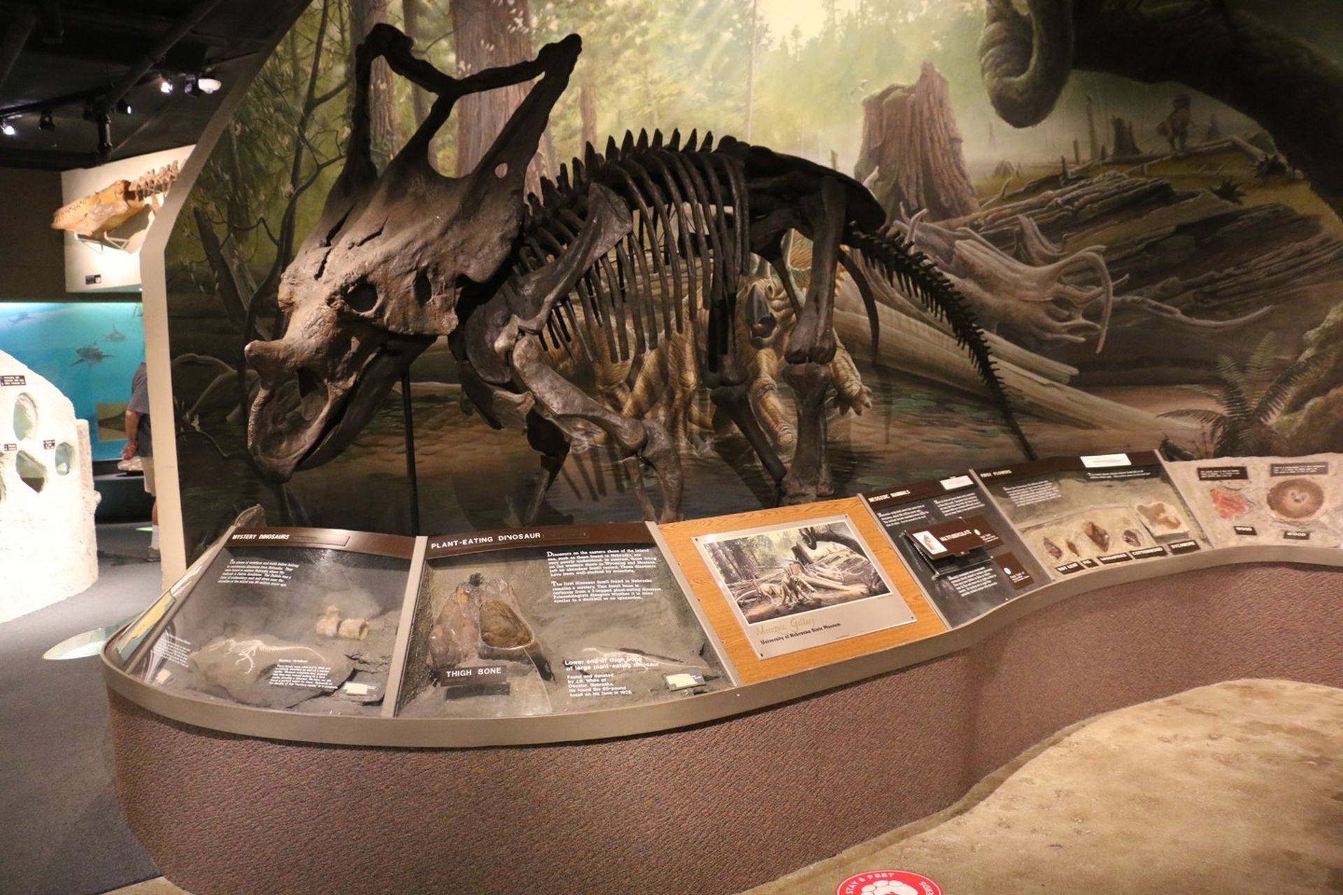 Nebraska State Museum Credit Visit Nebraska