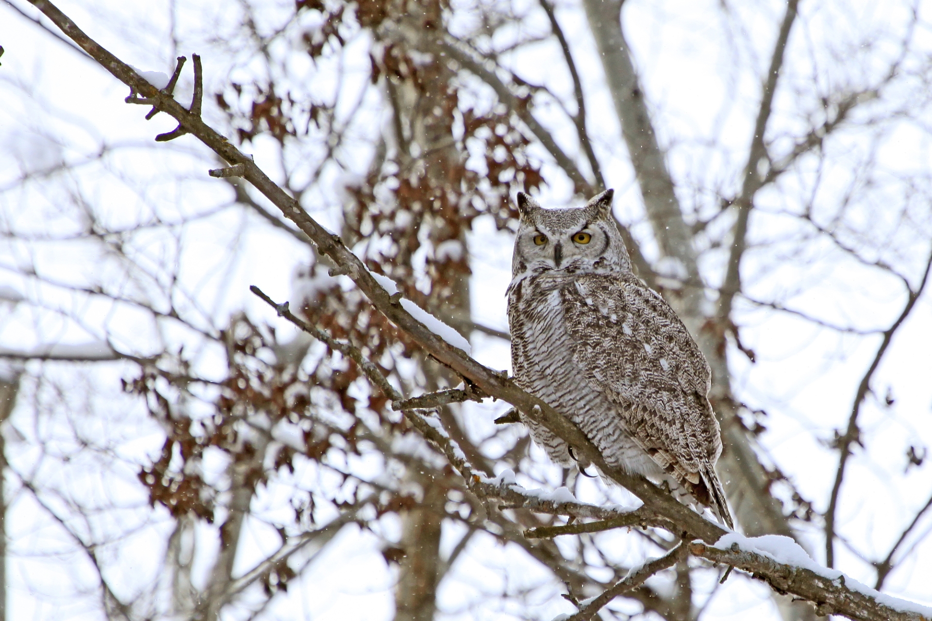 Owl National Wildlife Refuge Image By North Dakota Be Legendary