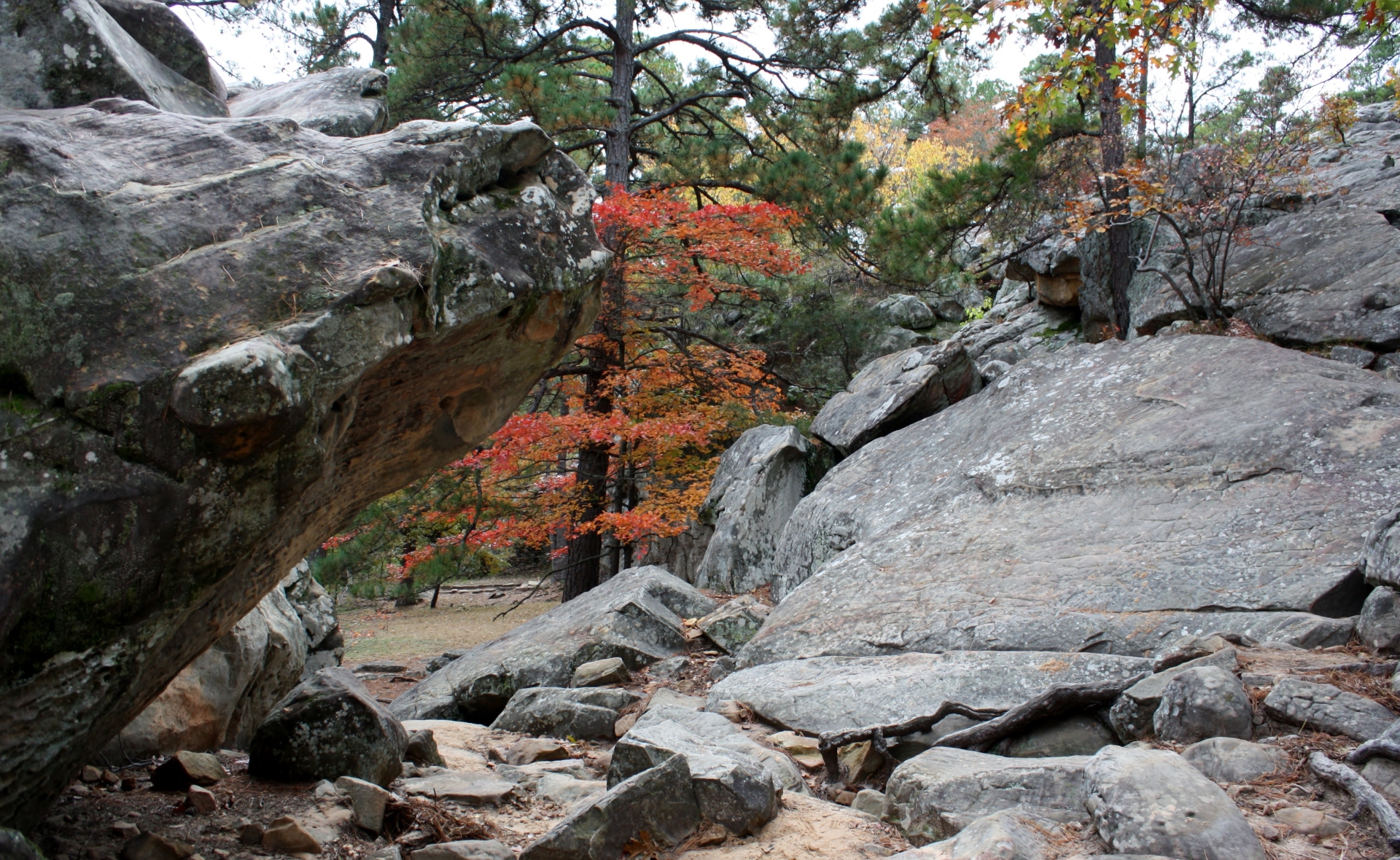 Robbers Cave State Park Wilburton Ok Image By Travel Oklahoma Canuckiwi