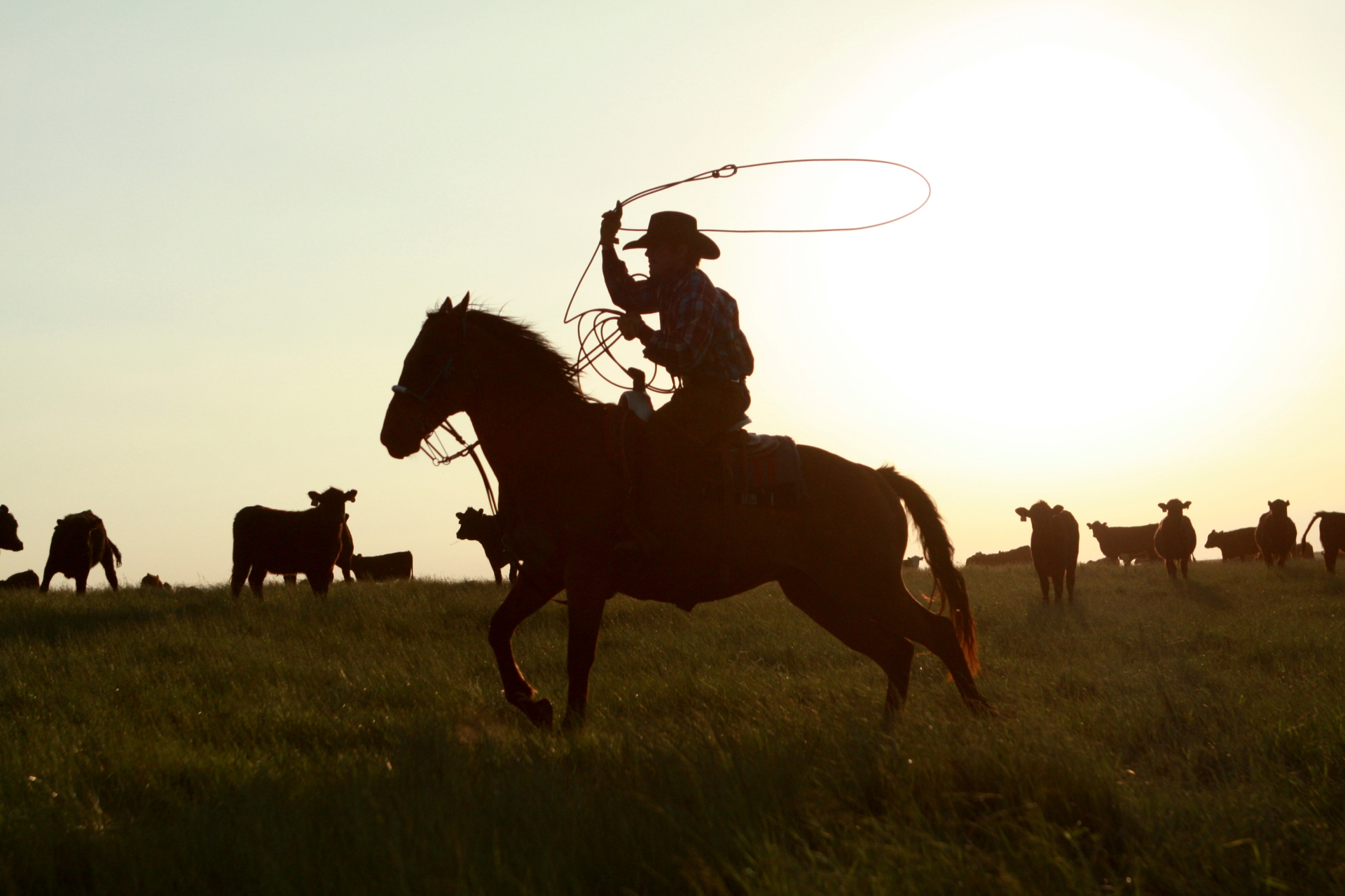 Rolling Plains Image By North Dakota Be Legendary 059