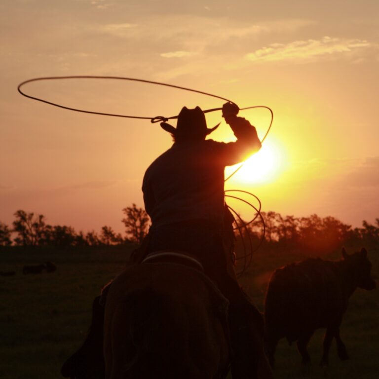 Rolling Plains Image By North Dakota Be Legendary168 e1740914761601