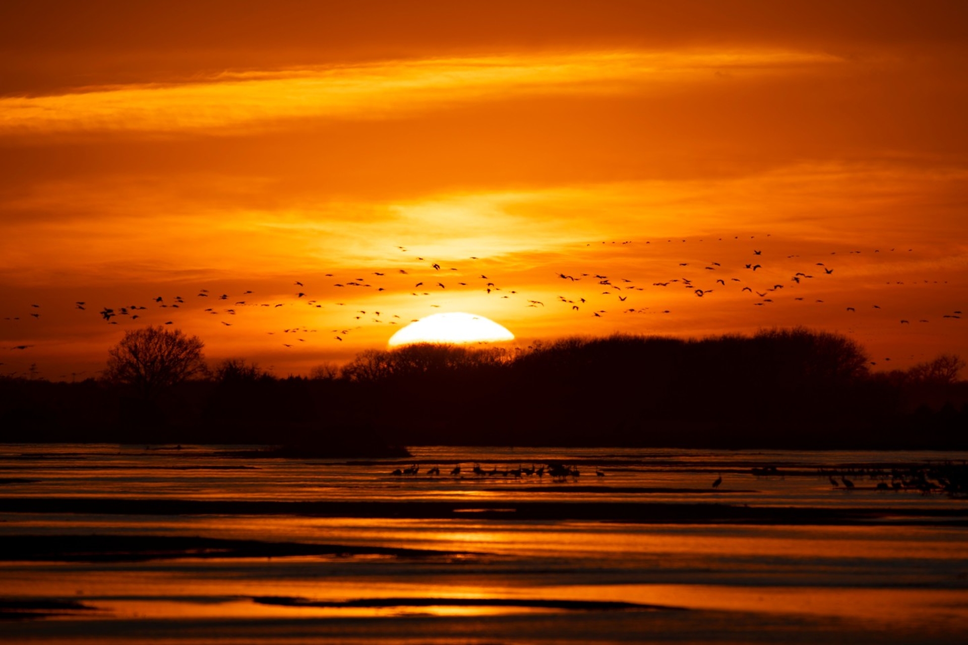 Sandhill Crane Migration 3 %C2%A9 Bill Frakes 2021 Bill Frakes Photography LLC Credit Visit Nebraska
