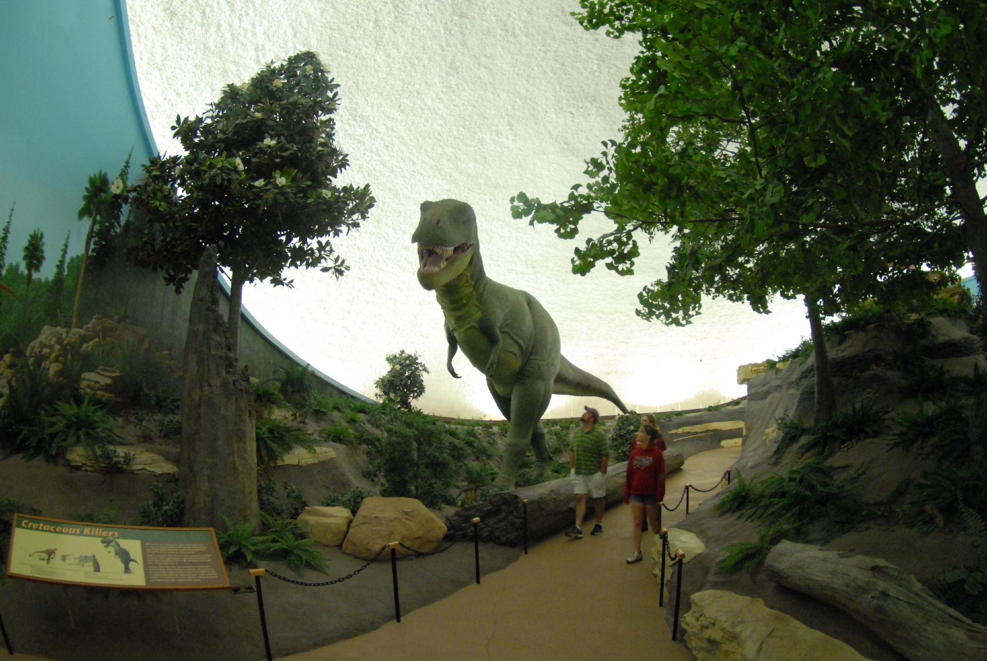 Sternberg Museum of Natural History Kansas Image Kansas State Tourism