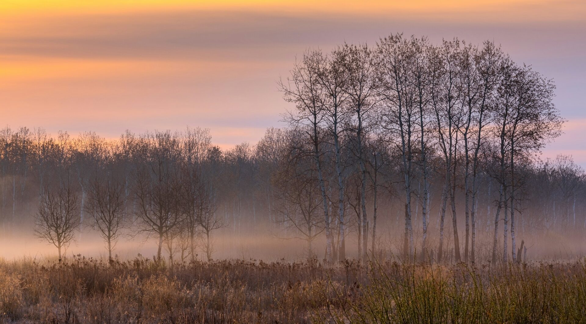 Caledonia Wisconsin Image By dave hoefler unsplash e1743468030898