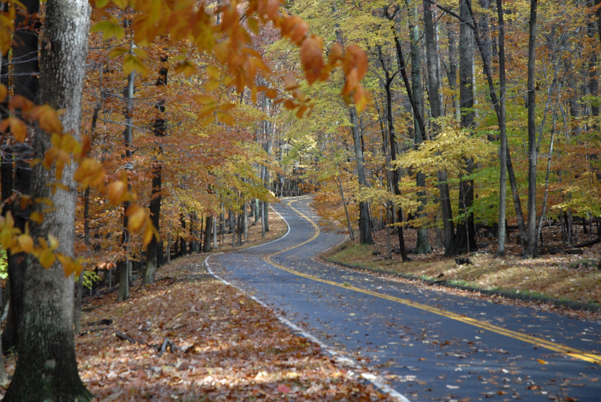 Catoctin Mountain Park Road Courtesy of Maryland Office of Tourism