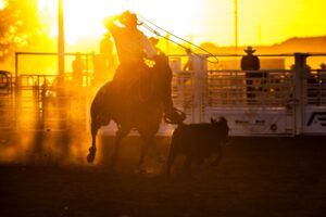 Cheyenne County Fair Rodeo